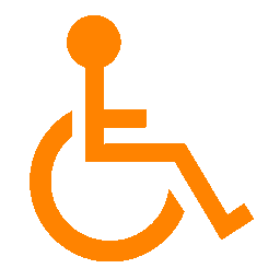 Aseo Adaptado
